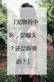 宠物看中医，是噱头？还是新赛道？