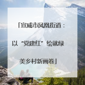 宣威市凤凰街道：以“党建红”绘就绿美乡村新画卷