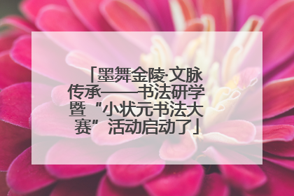 墨舞金陵·文脉传承——书法研学暨“小状元书法大赛”活动启动了