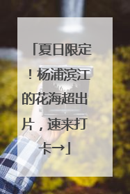 夏日限定！杨浦滨江的花海超出片，速来打卡→