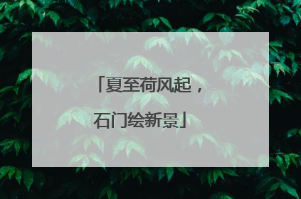 夏至荷风起，石门绘新景