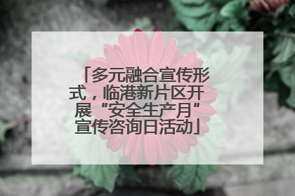 多元融合宣传形式，临港新片区开展“安全生产月”宣传咨询日活动
