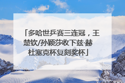 多哈世乒赛三连冠，王楚钦/孙颖莎收下兹·赫杜塞克杯复刻奖杯