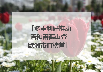 多重利好推动 诺和诺德重登欧洲市值榜首