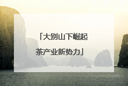 大别山下崛起茶产业新势力