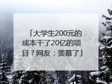 大学生200元的成本干了20亿的项目？网友：羡慕了