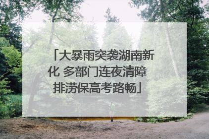 大暴雨突袭湖南新化 多部门连夜清障排涝保高考路畅
