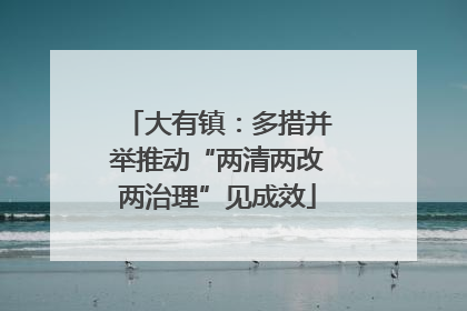 大有镇：多措并举推动“两清两改两治理”见成效