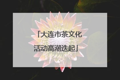 大连市茶文化活动高潮迭起
