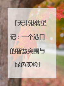 天津港转型记：一个港口的智慧突围与绿色实验