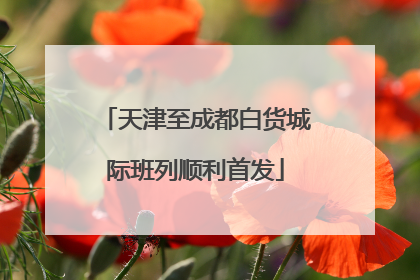 天津至成都白货城际班列顺利首发