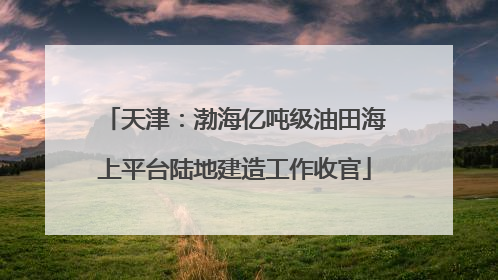 天津：渤海亿吨级油田海上平台陆地建造工作收官