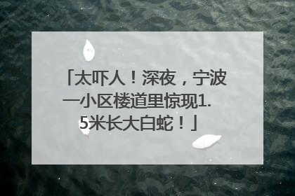 太吓人！深夜，宁波一小区楼道里惊现1.5米长大白蛇！
