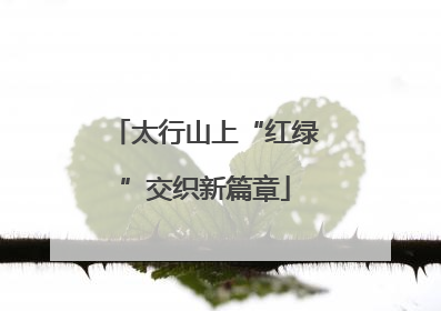 太行山上“红绿”交织新篇章