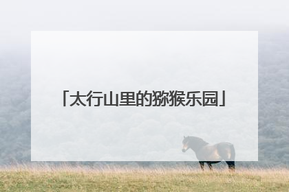 太行山里的猕猴乐园