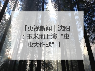 央视新闻｜沈阳：玉米地上演“虫虫大作战”