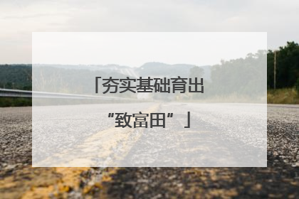 夯实基础育出“致富田”