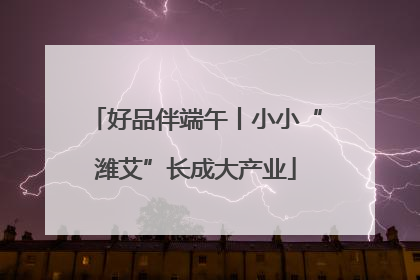 好品伴端午丨小小“潍艾”长成大产业