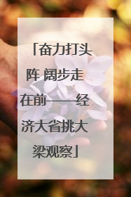 奋力打头阵 阔步走在前——经济大省挑大梁观察