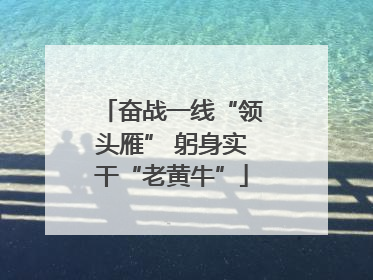 奋战一线“领头雁” 躬身实干“老黄牛”