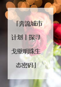 奔流城市计划丨探寻戈壁明珠生态密码