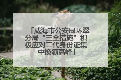 威海市公安局环翠分局“三全措施”积极应对二代身份证集中换领高峰
