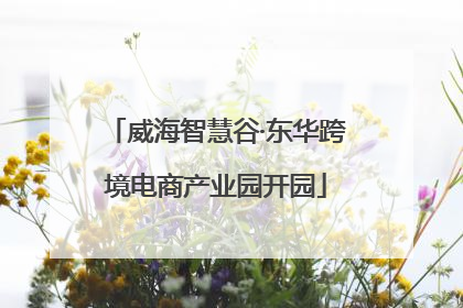 威海智慧谷·东华跨境电商产业园开园