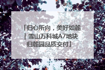 归心所向，美好如麓｜雪山万科城A7地块归麓园品质交付