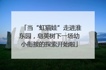 当“虹猫娃”走进淮东园，皂荚树下一场幼小衔接的探索开始啦