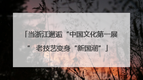 当浙江邂逅“中国文化第一展” 老技艺变身“新国潮”