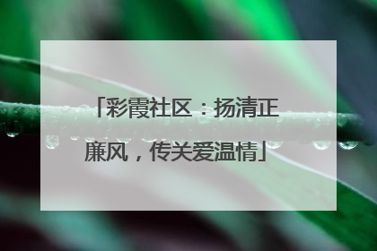 彩霞社区：扬清正廉风，传关爱温情