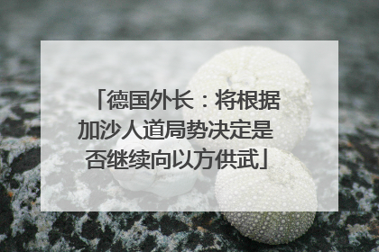 德国外长：将根据加沙人道局势决定是否继续向以方供武