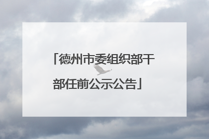 德州市委组织部干部任前公示公告