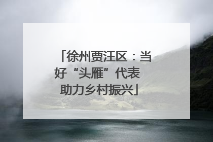 徐州贾汪区：当好“头雁”代表 助力乡村振兴