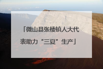微山县张楼镇人大代表助力“三夏”生产