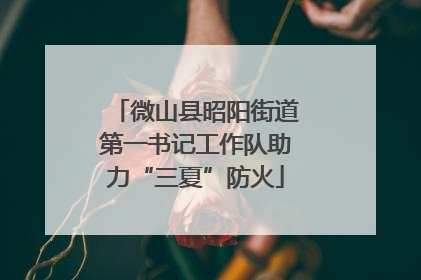微山县昭阳街道第一书记工作队助力“三夏”防火