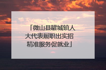 微山县驩城镇人大代表履职出实招精准服务促就业