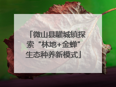 微山县驩城镇探索“林地+金蝉”生态种养新模式