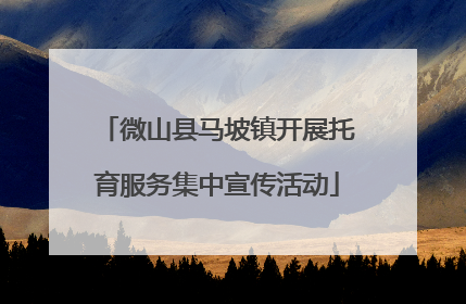 微山县马坡镇开展托育服务集中宣传活动