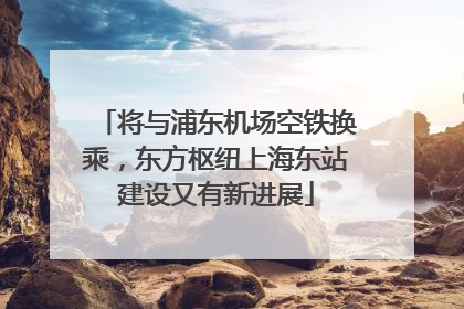 将与浦东机场空铁换乘，东方枢纽上海东站建设又有新进展