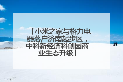 小米之家与格力电器落户济南起步区，中科新经济科创园商业生态升级