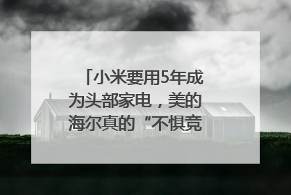 小米要用5年成为头部家电，美的海尔真的“不惧竞争”？｜热财经