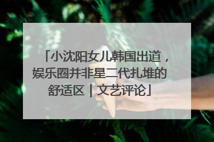 小沈阳女儿韩国出道，娱乐圈并非星二代扎堆的舒适区｜文艺评论