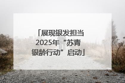 展现银发担当 2025年“苏青银龄行动”启动