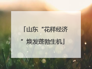 山东“花样经济”焕发蓬勃生机