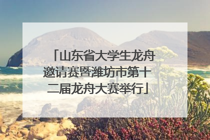 山东省大学生龙舟邀请赛暨潍坊市第十二届龙舟大赛举行