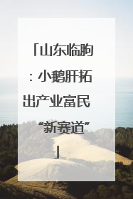 山东临朐：小鹅肝拓出产业富民“新赛道”