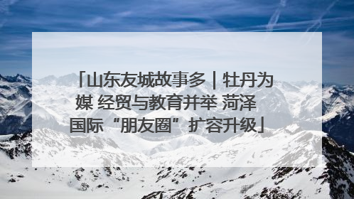 山东友城故事多｜牡丹为媒 经贸与教育并举 菏泽国际“朋友圈”扩容升级