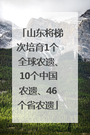山东将梯次培育1个全球农遗、10个中国农遗、46个省农遗