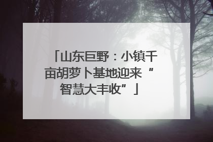 山东巨野：小镇千亩胡萝卜基地迎来“智慧大丰收”